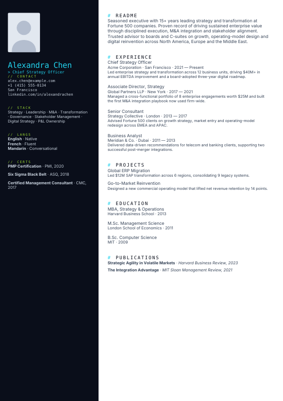 Developer Dark — CV template preview