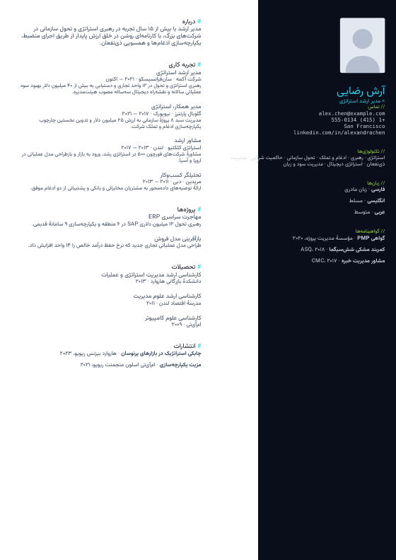 برنامه‌نویس تیره — CV template preview