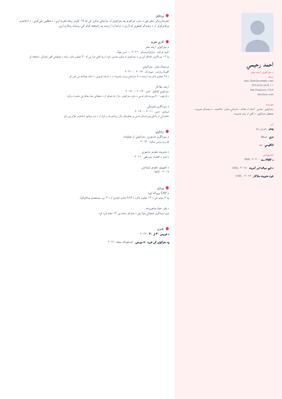 مرجاني خلاقیت — CV template preview