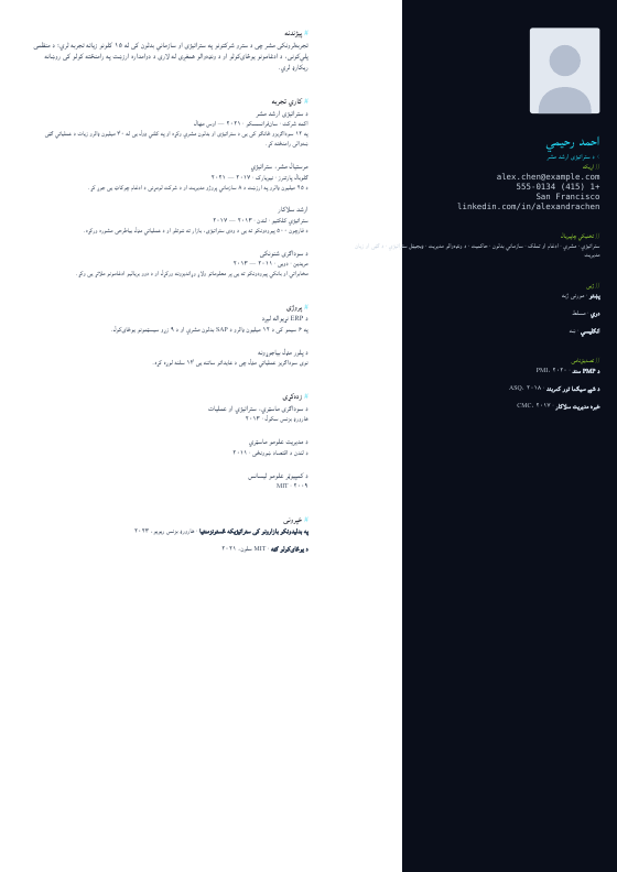 پروګرامر تور — CV template preview