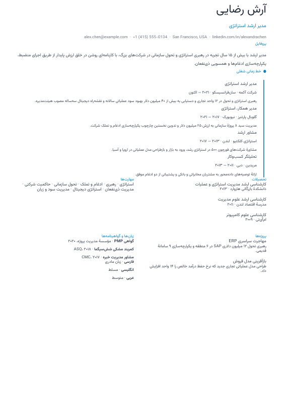 خط زمانی عمودی — CV template preview