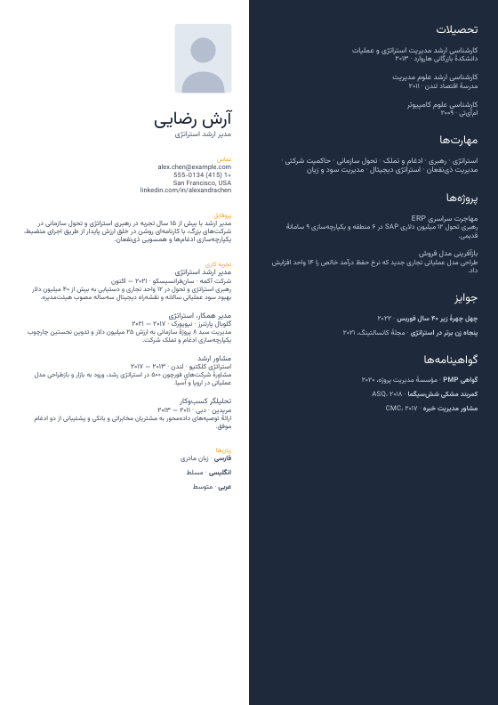 تقسیم برجسته — CV template preview