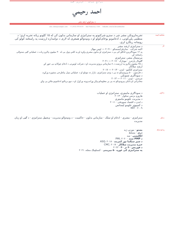د خبرپاڼې سټایل — CV template preview