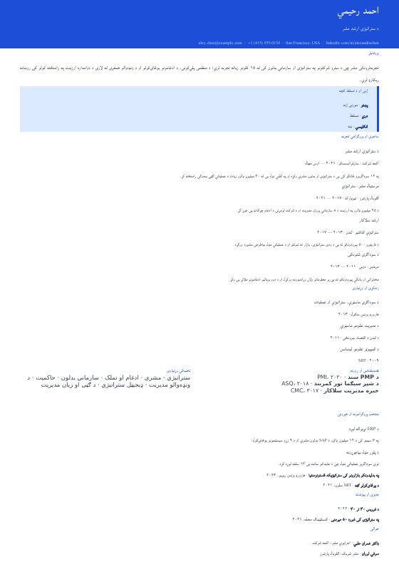 نړیوال NGO — CV template preview
