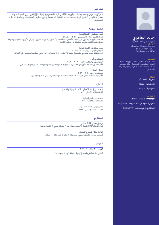 شريط جانبي عصري — CV template preview