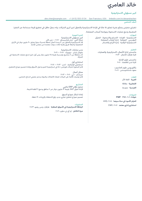 عمودان متوازيان — CV template preview