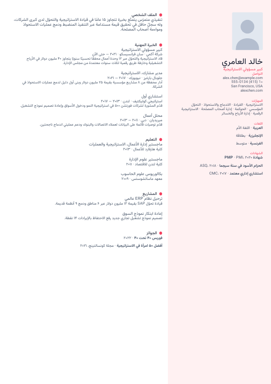 إبداعي مرجاني — CV template preview