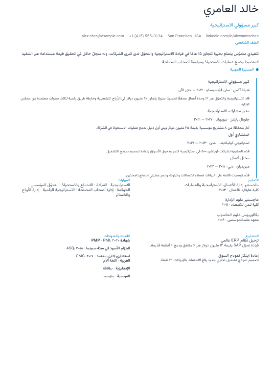 محور زمني عمودي — CV template preview
