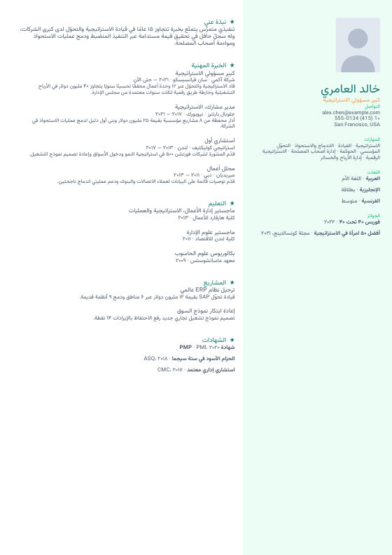 باستيل ناعم — CV template preview