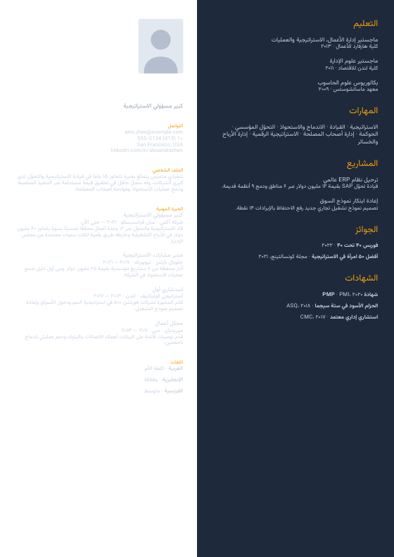 تقسيم بارز — CV template preview