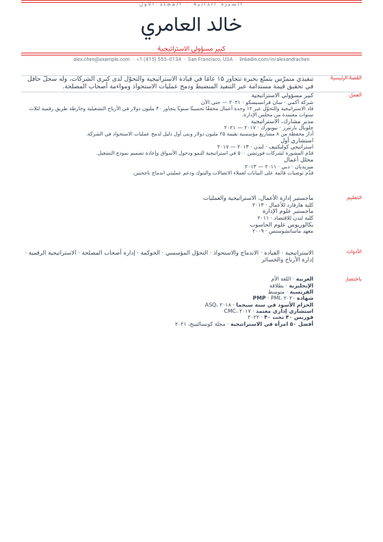 نشرة إخبارية — CV template preview