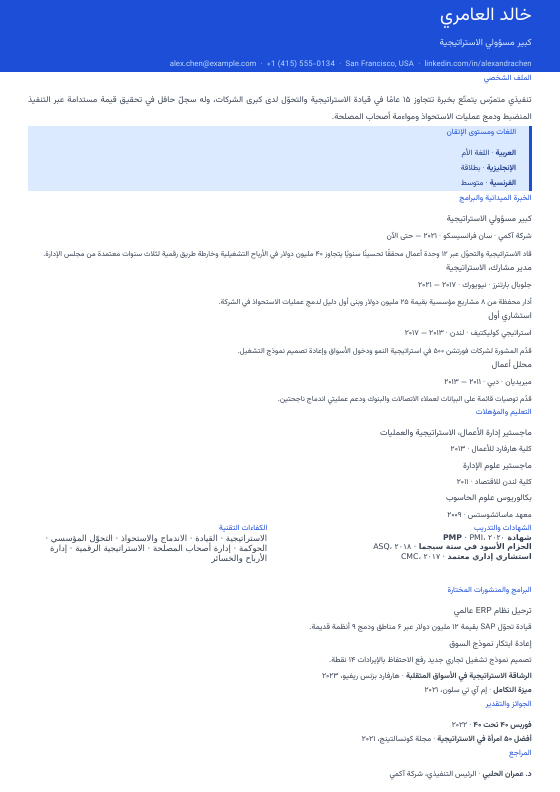 منظمة دولية غير حكومية — CV template preview
