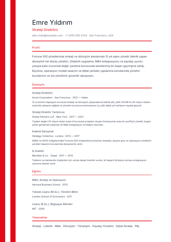 Turkey — Türkçe Ribbon — CV template preview