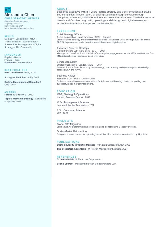 Nursing Care — CV template preview
