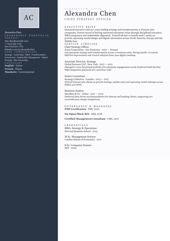 Platinum Leadership Portfolio — CV template preview