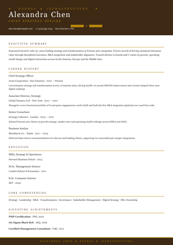 Oil &amp; Energy Executive — CV template preview