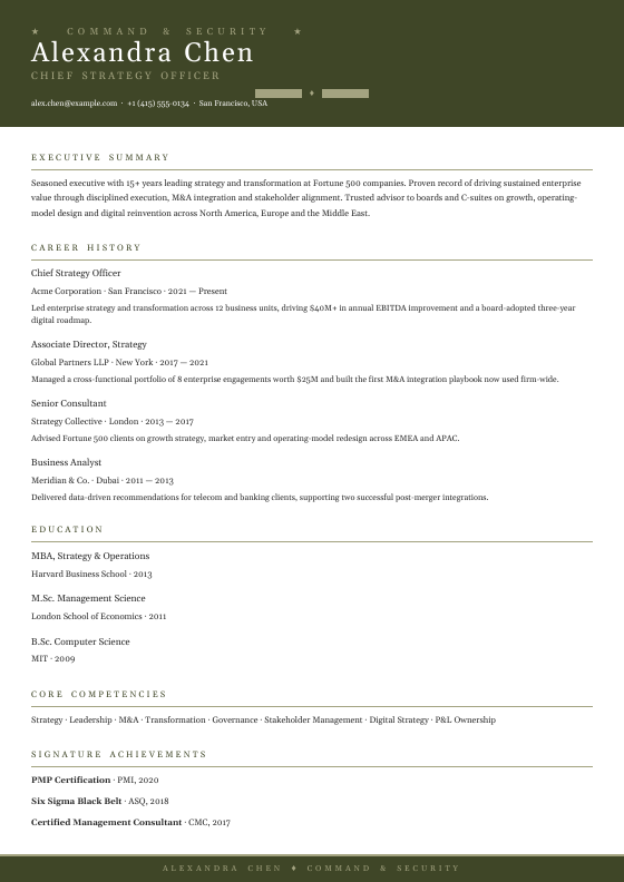 Military Officer Brief — CV template preview