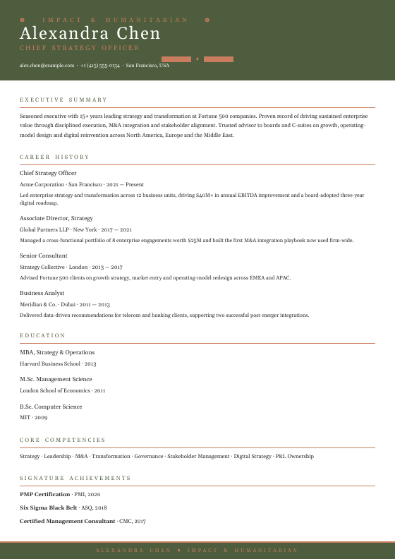 NGO Director Elite — CV template preview