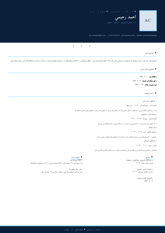 Diamond Elite Executive — CV template preview