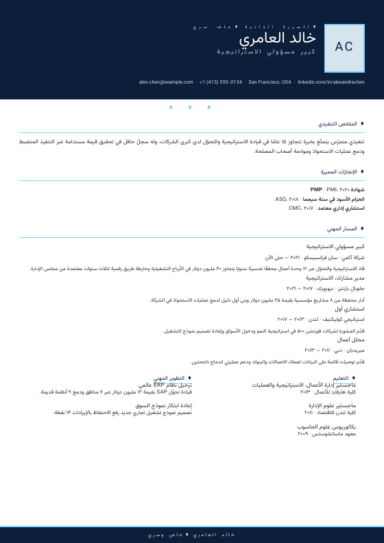 Diamond Elite Executive — CV template preview