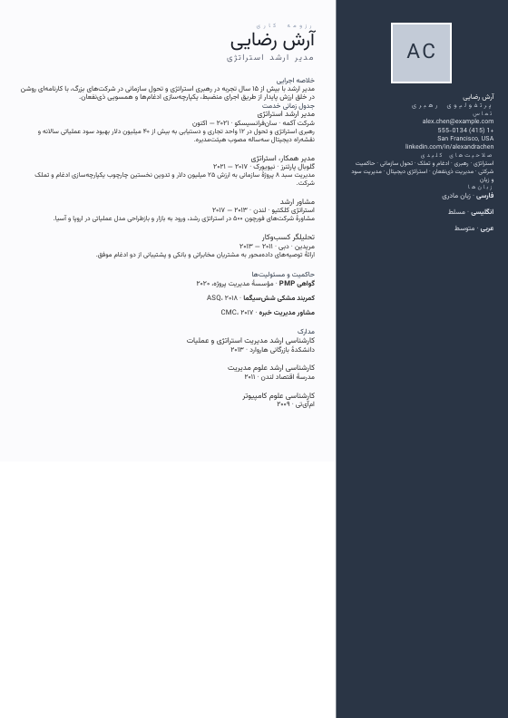 Platinum Leadership Portfolio — CV template preview