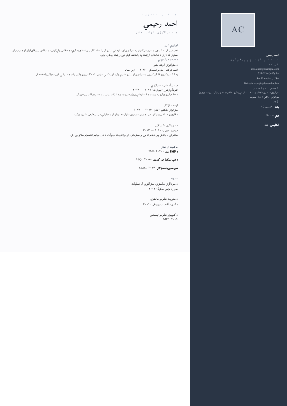 Platinum Leadership Portfolio — CV template preview