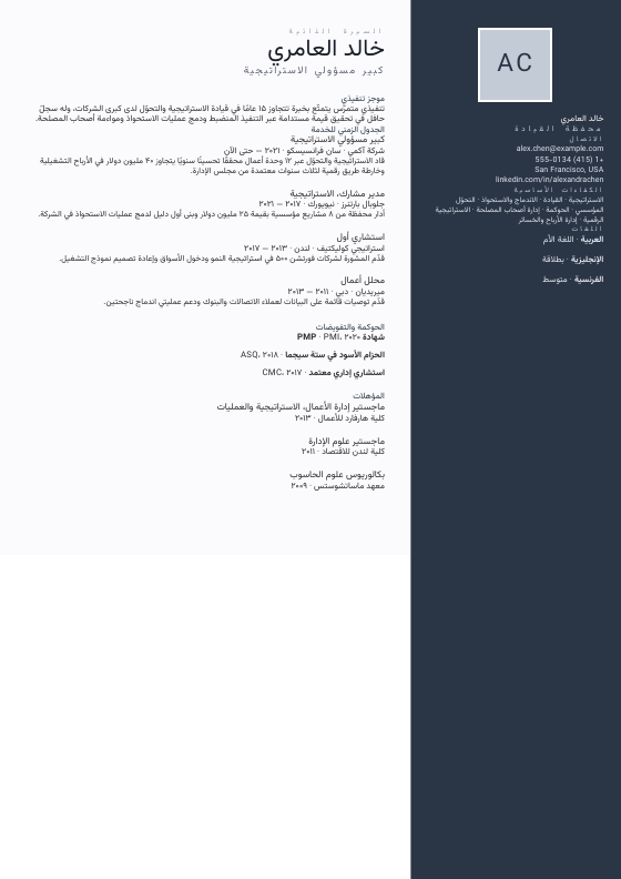 Platinum Leadership Portfolio — CV template preview