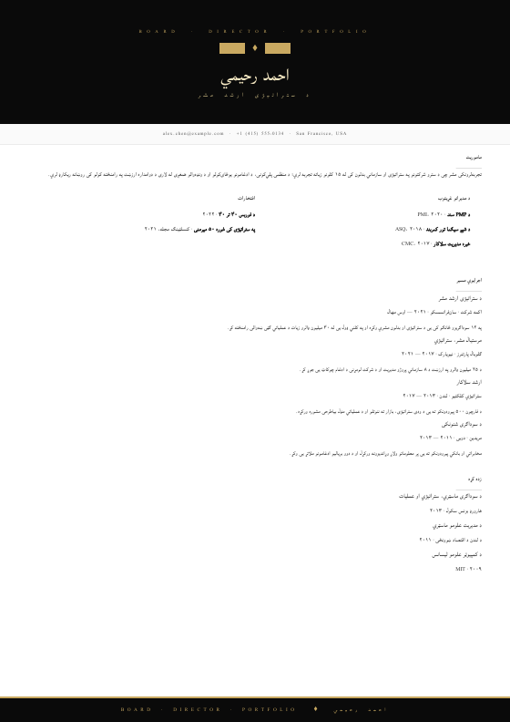 Onyx Board Director — CV template preview